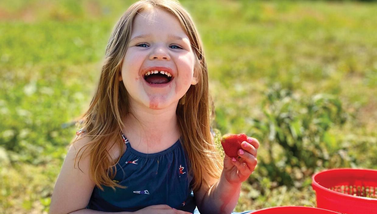 Summer Guide 2023: Family-Friendly Summer Activities
